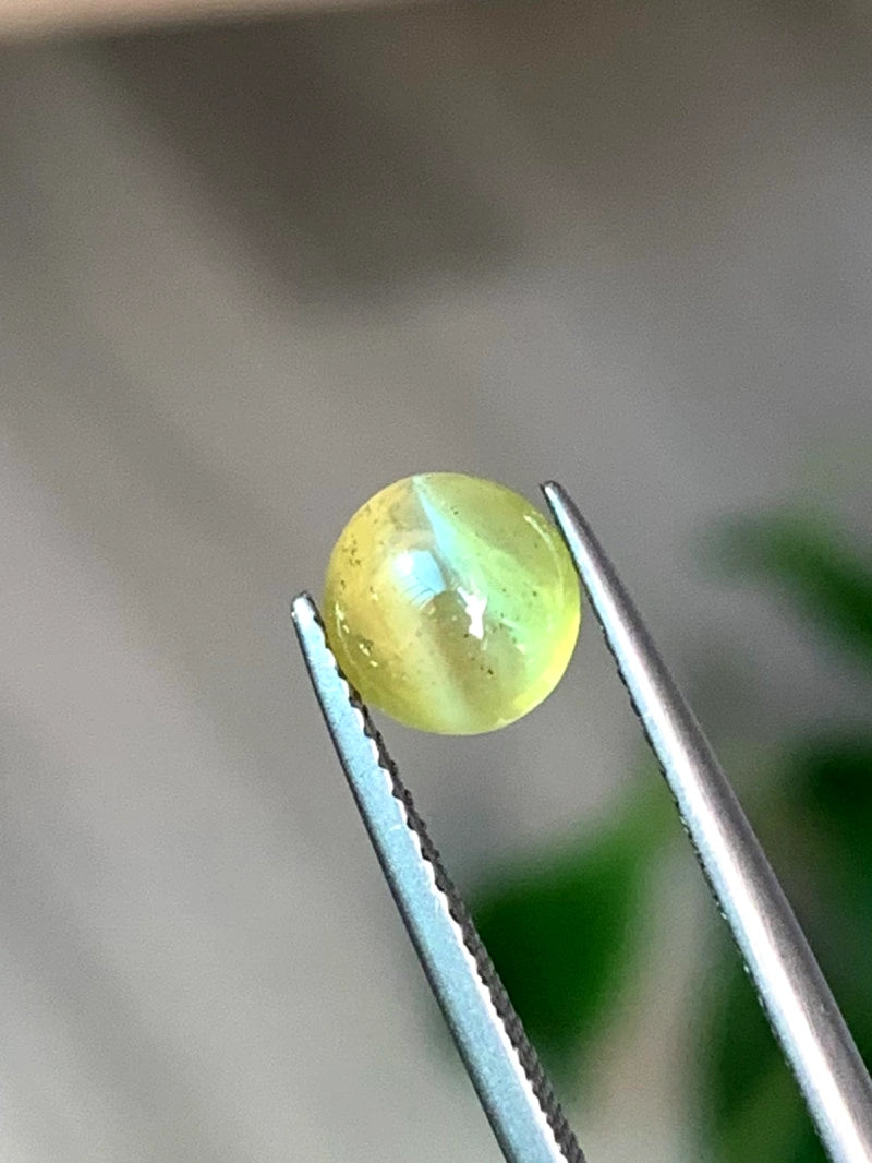 2.20 Cts Chrysoberyl Cat's Eye